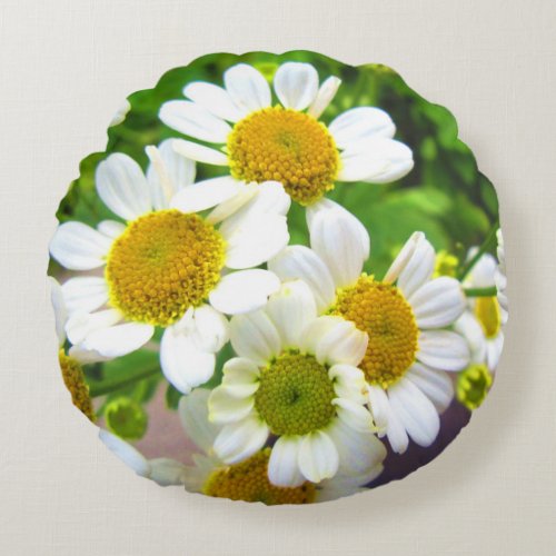 Pretty Little Daisy Flowers in Sunshine Round Pillow