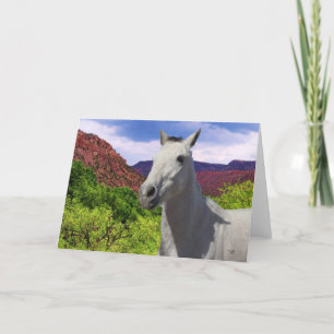 Pretty Little Gray Gray Pony with Big Eyes - Blank Card