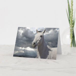 Pretty Little Gray Gray Pony with Big Eyes - Blank Card