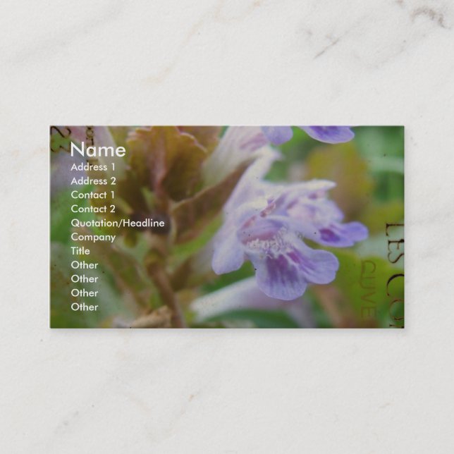 Pretty Little Henbit Business Card (Front)