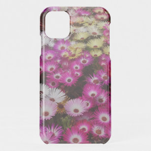 Pretty Livingstone Pink Daisies iPhone 11 Case