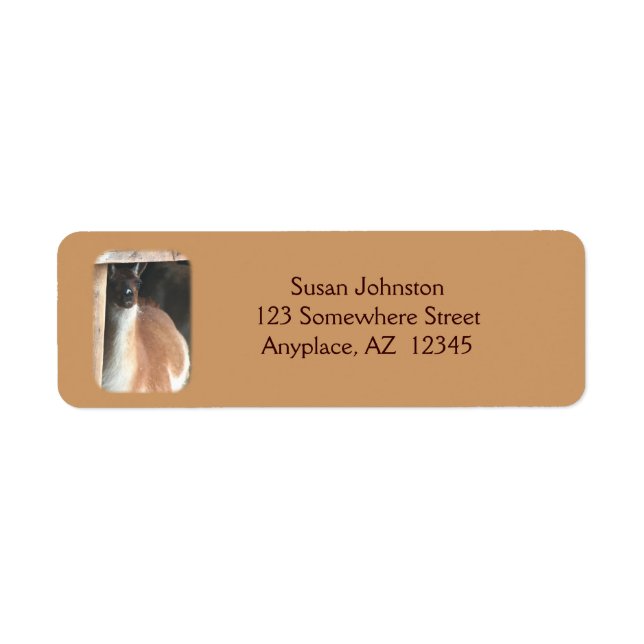 Pretty Llama Farm Animal Address Label (Front)