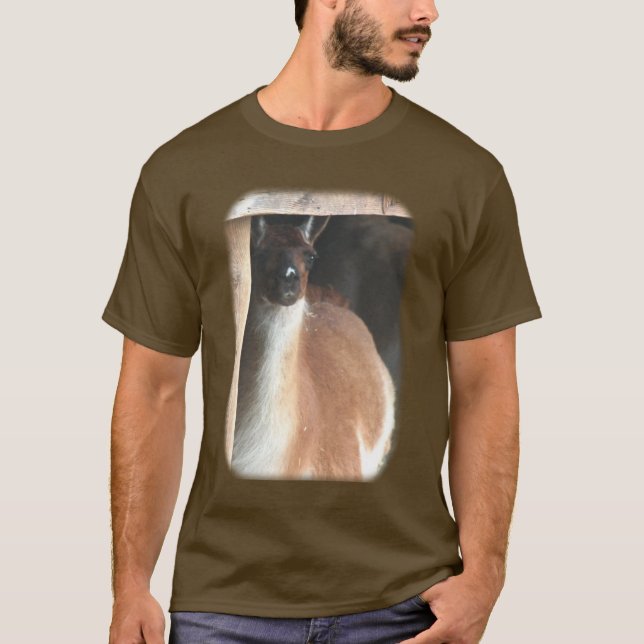 Pretty Llama Farm Animal T-Shirt (Front)