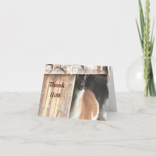 Pretty Llama Farm Animal Thank You Card