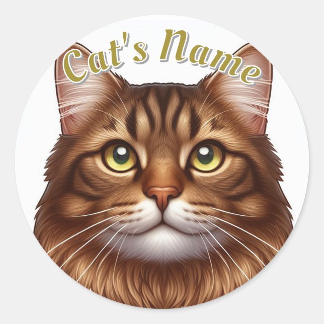 Pretty Longhaired Brown Tabby Cat • Personalized Classic Round Sticker (Front)
