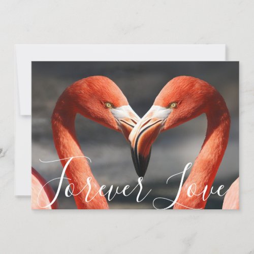 Pretty Love Flamingos Orange Reddish Valentine Day Holiday Card