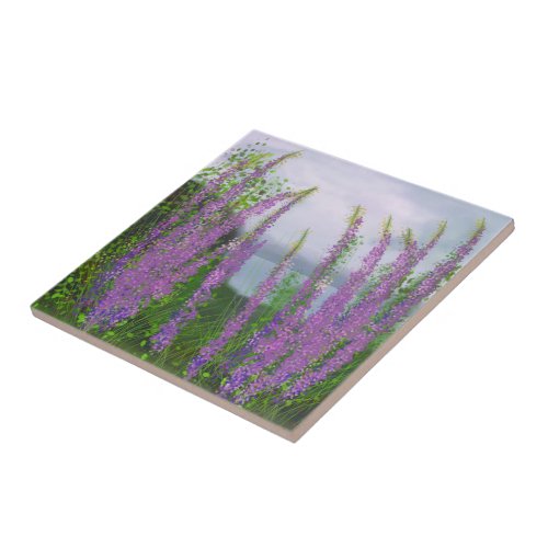 Pretty Lupine Flowers By The Lake Ceramic Tile