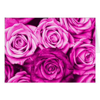 Pretty Magenta Pink Roses Flower Bouquet Cards