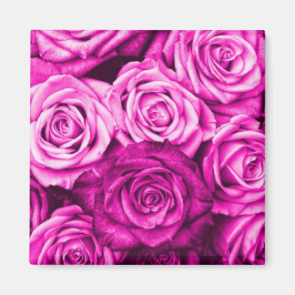 Pretty Magenta Pink Roses Flower Bouquet Magnet