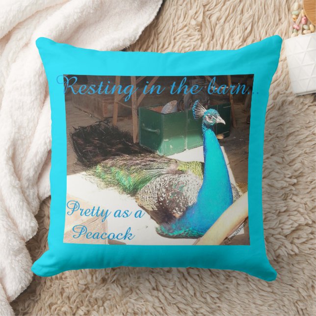 Pretty Male Blue Peacock Throw Pillow (Blanket)