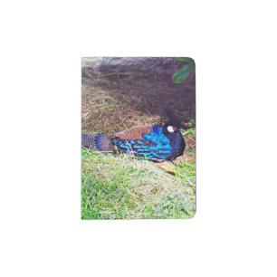 Pretty Male palawan peacock-pheasant Bird sitting Passport Holder
