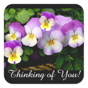Pretty Mauve Pansy Thinking of You Square Sticker