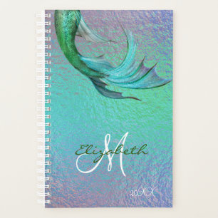 Pretty Mermaid Tail Iridescent Organizer Daily