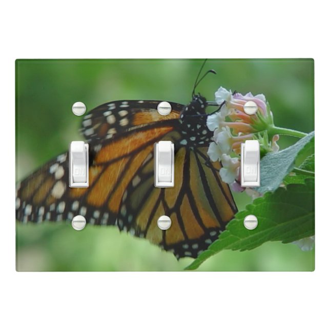 Pretty Monarch Butterfly Floral Light Switch Cover (In Situ)