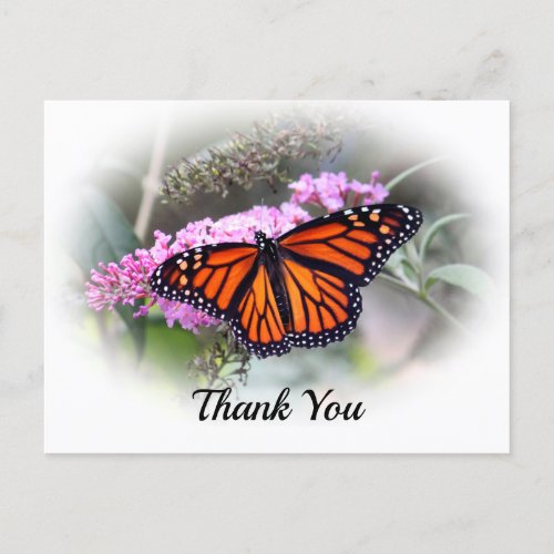 Pretty Monarch Butterfly Photo Thank You Postcard