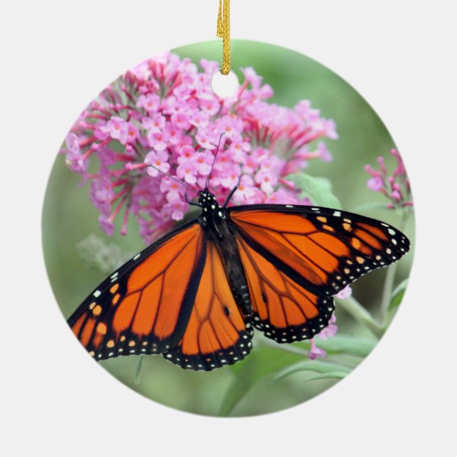 Pretty Monarch Butterfly Pink Floral Photo Ceramic Ornament (Back)