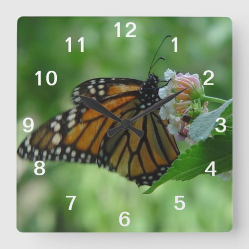 Pretty Monarch Butterfly  Pink Flower Wall Clock