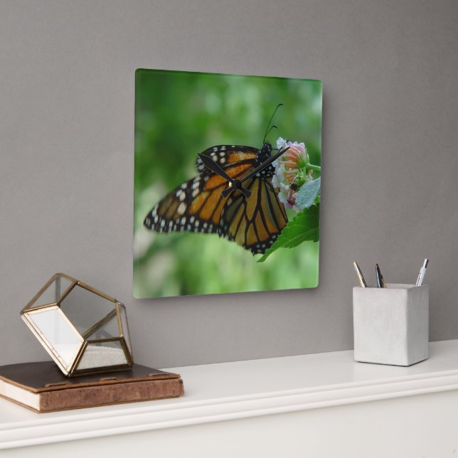 Pretty Monarch Butterfly Square Wall Clock (Office)