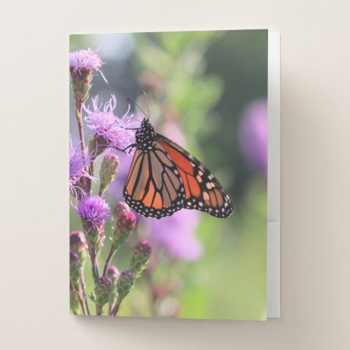 Pretty Monarch Pocket Folder