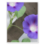 Pretty Morning Glories Temporary Tattoos