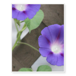 Pretty Morning Glories Temporary Tattoos