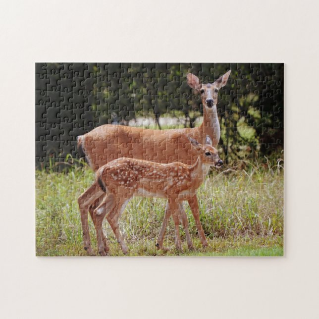 Pretty Mother Deer and Baby Fawn Nature Puzzle (Horizontal)