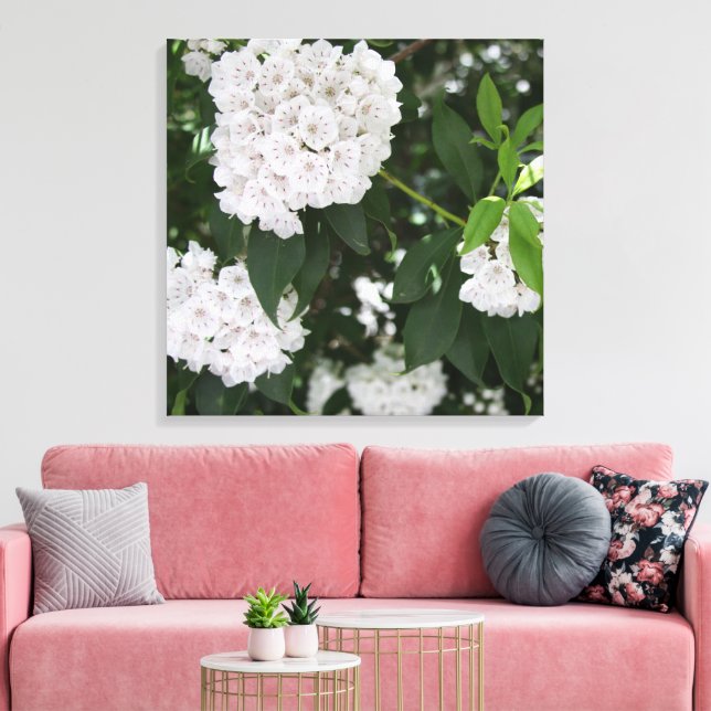 Pretty Mountain Laurel White Flowers Canvas Print (Insitu(LivingRoom))