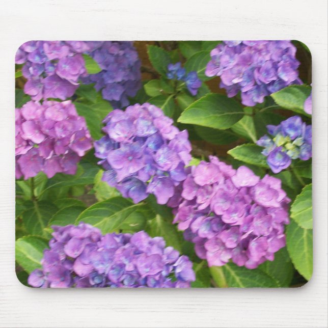 Pretty Mousepad, Pink and Blue Hydrangeas Mouse Pad (Front)