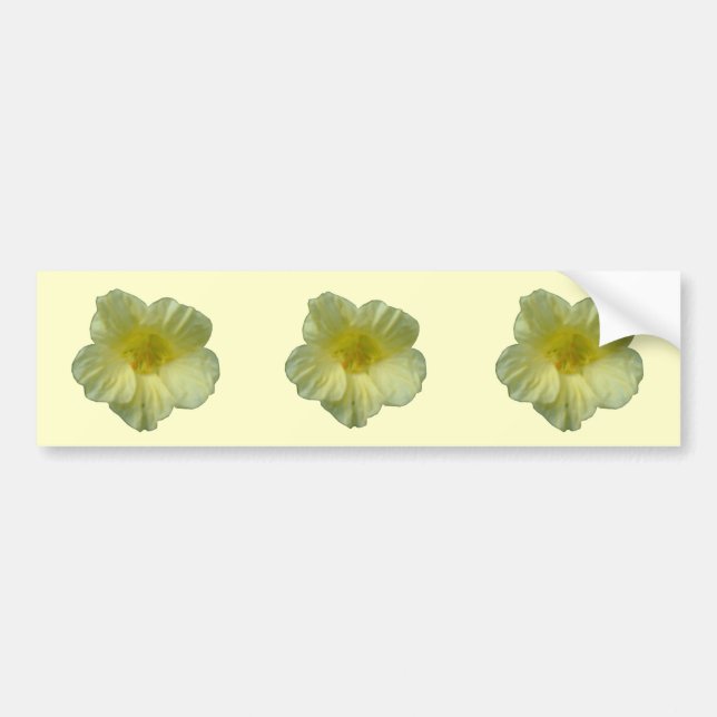 Pretty Natsurtium Flower Bumper Sticker (Front)