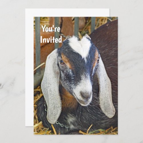 Pretty Nubian Goat Photo Birthday Invitation