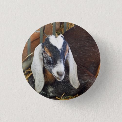 Pretty Nubian Goat Photo Button