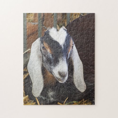 Pretty Nubian Goat Photo Jigsaw Puzzle