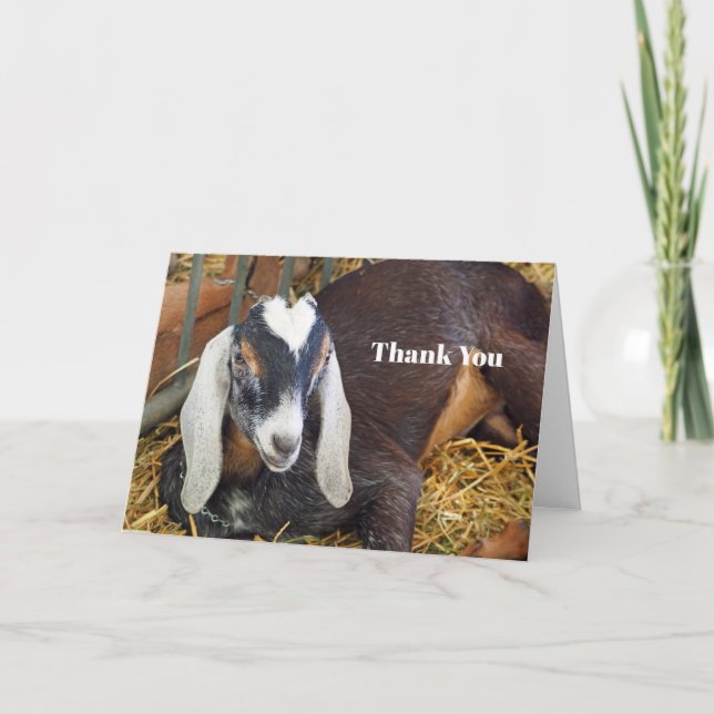 Pretty Nubian Goat Photo Thank You Card (Front)