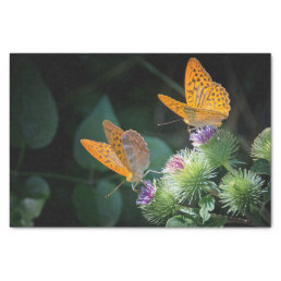 Pretty Orange Butterfly Floral Photo Tissue Paper