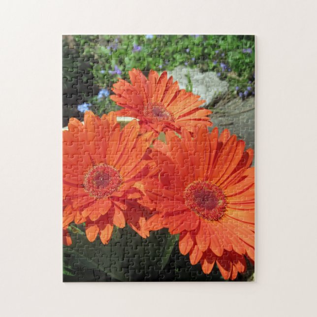 Pretty Orange Daisy Flower Photo Puzzle (Vertical)