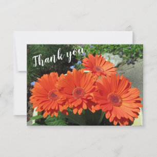 Pretty Orange Gerbera Daisy Photo Handwritten  Tha Thank You Card