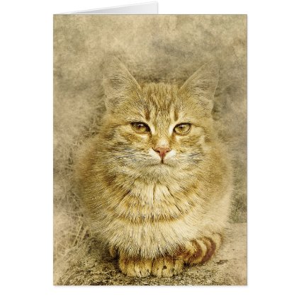 Pretty Orange Kitty | Abstract | Watercolor Card