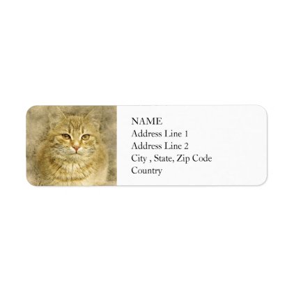 Pretty Orange Kitty | Abstract | Watercolor Label