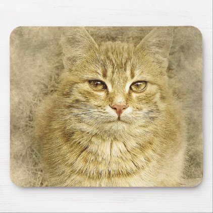 Pretty Orange Kitty | Abstract | Watercolor Mouse Pad