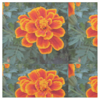 Pretty Orange Marigold Fabric