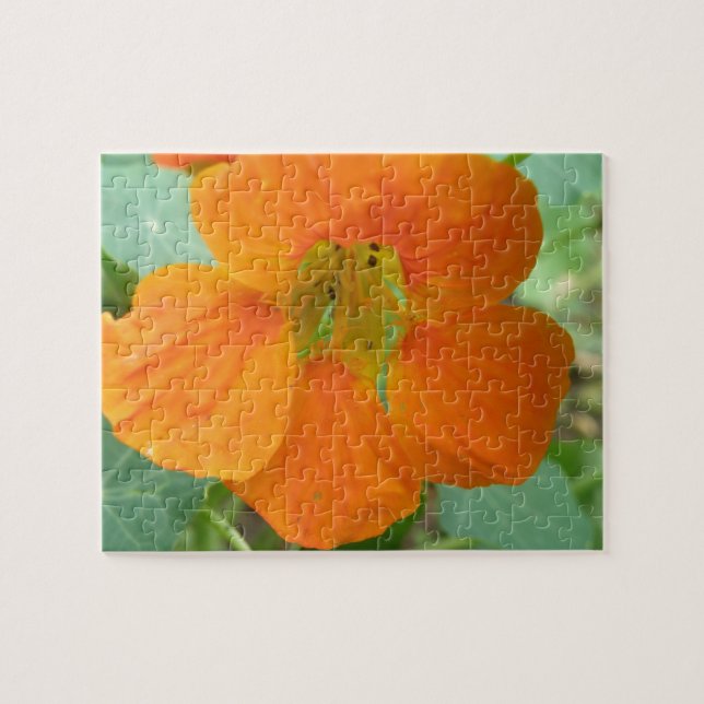 Pretty Orange Nasturtium Flower Puzzle (Horizontal)
