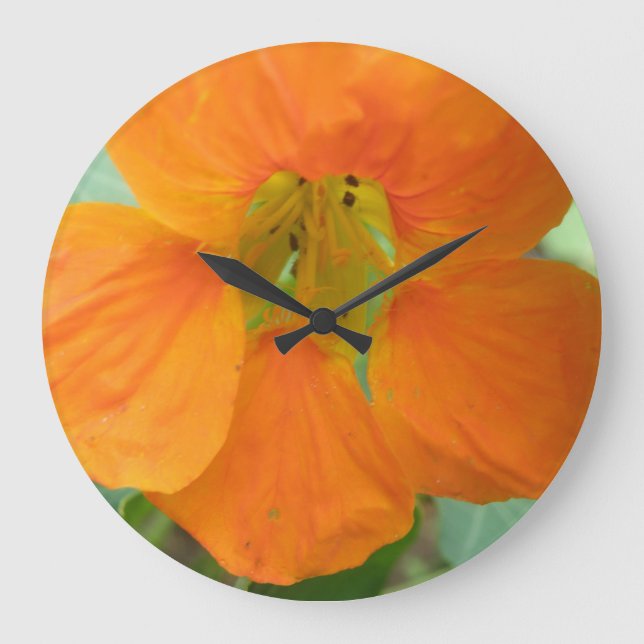 Pretty Orange Nasturtium Flower Wall Clock (Front)