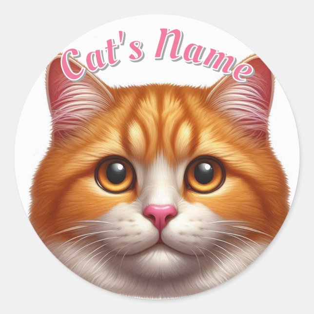 Pretty Orange Tabby Cat • Personalized Classic Round Sticker (Front)