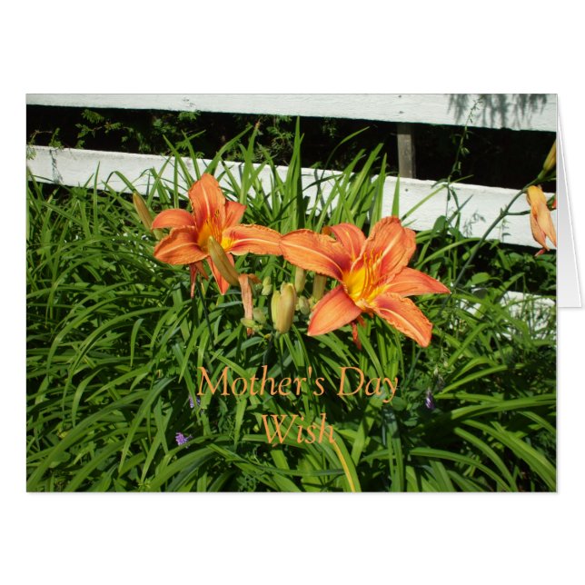 Pretty Orange Tiger Lilies Card (Front Horizontal)