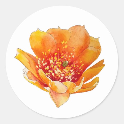Pretty Orange Watercolor Cactus Flower Bloom Classic Round Sticker