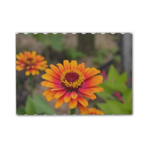 Pretty Orange Zinnia Post-it Notes
