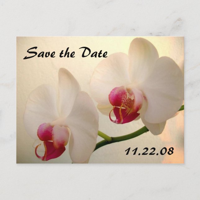 pretty Orchid Announcement Postcard (Front)