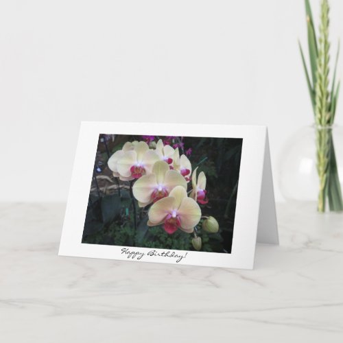 Pretty Orchid Birthday Card