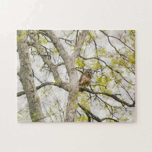 Pretty Owl in a Tree Nature Puzzle (Horizontal)