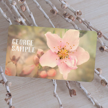 Pretty Pale Pink Dreamy Flower Photography Business Card by annpowellart at Zazzle